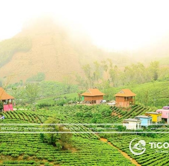 Mộc Châu Arena Village