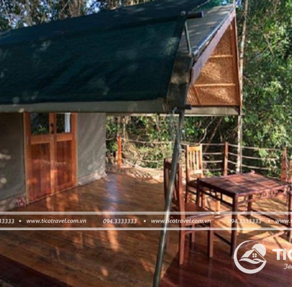 Forest Floor Lodge