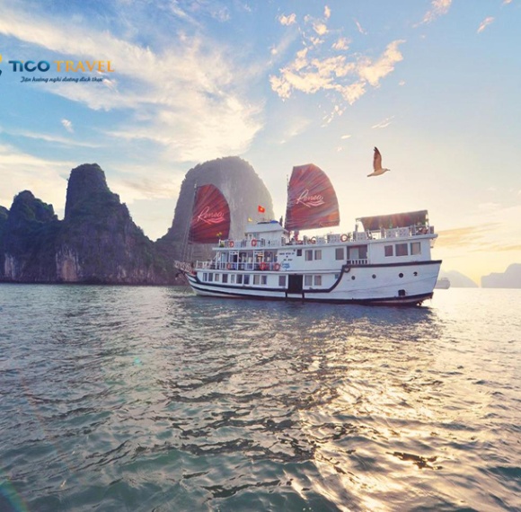 Renea Cruise Halong