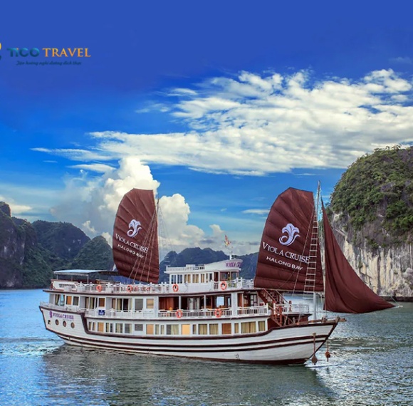 Viola Cruise Halong