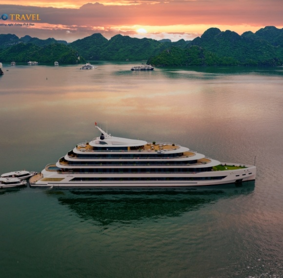 Sea Stars Cruise