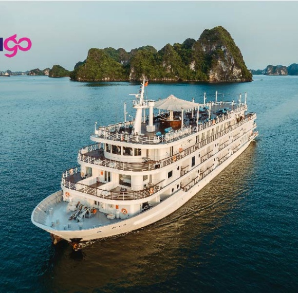 Ambassador Signature Cruise