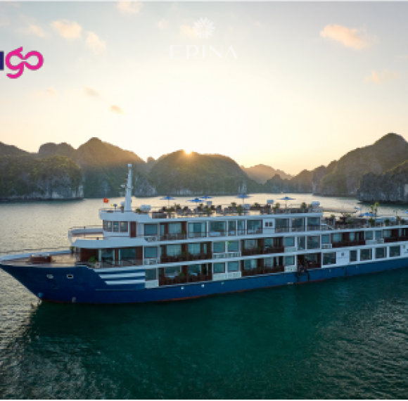 Erina Cruise