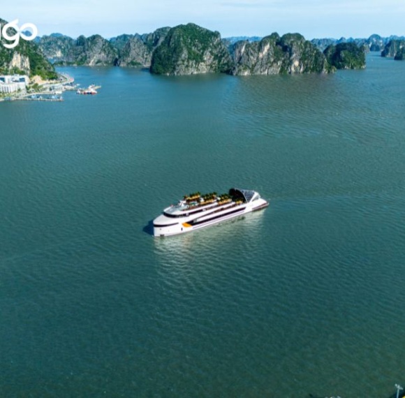 Dolphin Halong Cruise