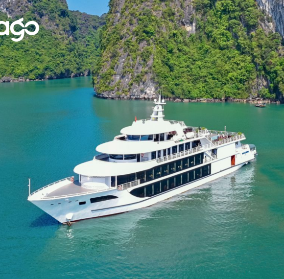 Sea Octopus Cruise
