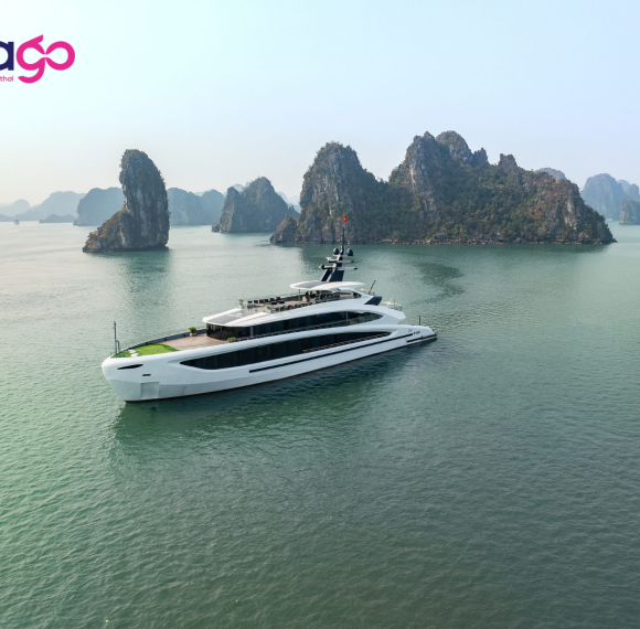Taliya Cruise