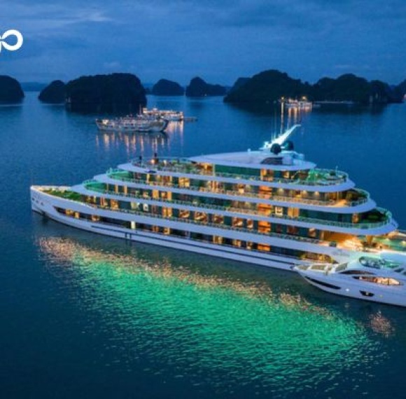 Sea Stars Cruise
