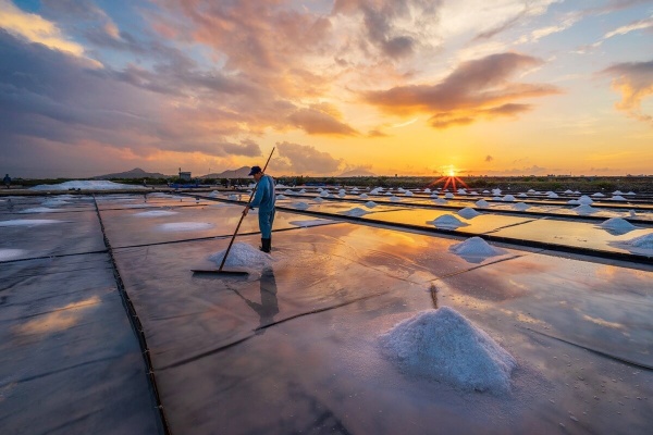Top 4 cánh đồng muối Ninh Thuận đẹp mê hoặc du khách