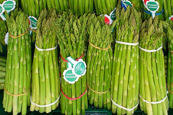 Măng tây xanh Ninh Thuận có gì đặc biệt? Giá và nơi mua uy tín