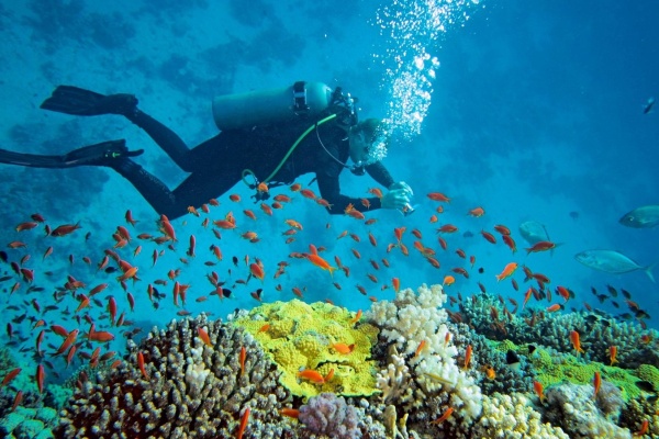 Review bãi Sỏi Nha Trang chi tiết: Ăn gì, chơi gì, ở đâu?