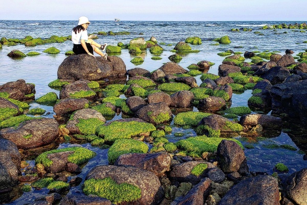 Núi Rồng Nghệ An có gì đặc biệt? Hướng dẫn đi chi tiết