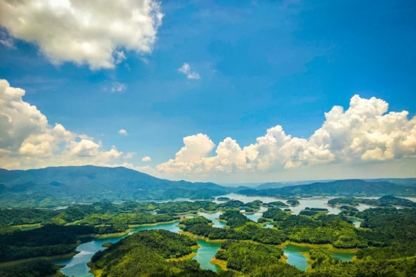 Hành trình du lịch vườn quốc gia Tà Đùng giữa lòng đại ngàn