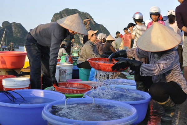 Đặc Sản Hạ Long: 10+ Món Ngon Nổi Tiếng Nhất Định Phải Thử Khi Du Lịch