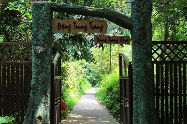 Kinh nghiệm khám phá Động Trung Trang Cát Bà: Tuyệt tác nhũ đá nghìn năm