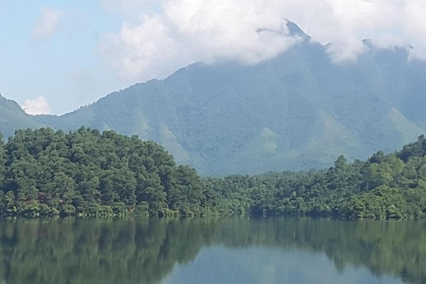 Khu Bảo Tồn Thiên Nhiên Đồng Sơn – Kỳ Thượng: Lá Phổi Xanh Giữa Núi Rừng Quảng Ninh