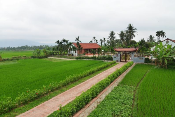 Làng Quê Yên Đức: Trải Nghiệm Nét Đẹp Bình Yên Của Làng Quê Bắc Bộ