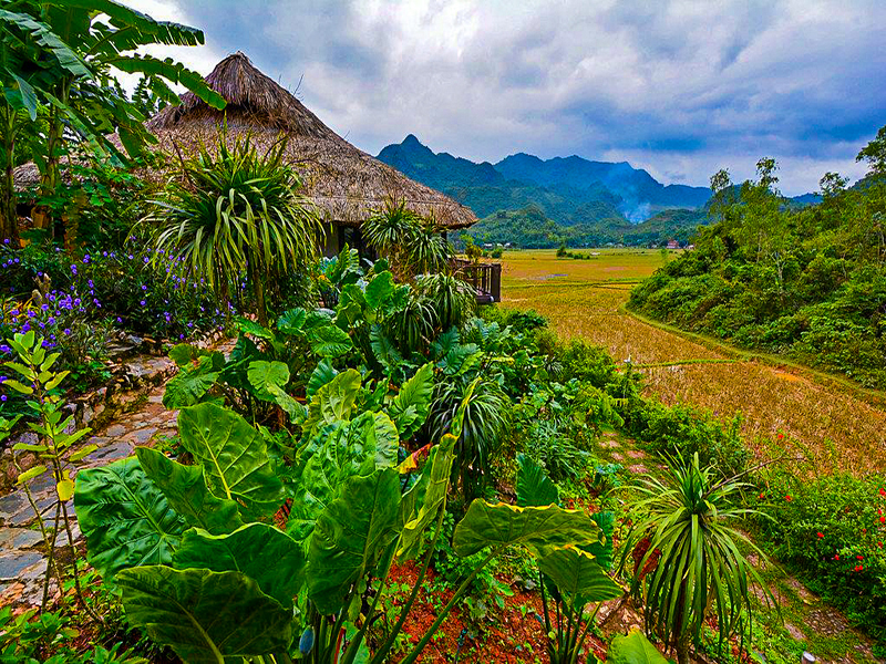 Mai Chau Ecolodge