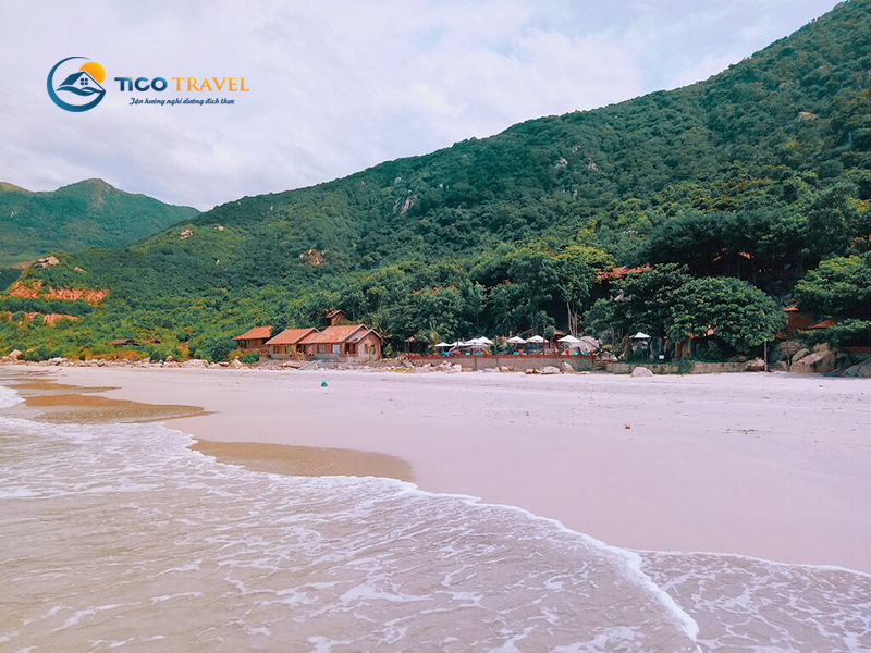 Wild Beach Resort & Spa Nha Trang
