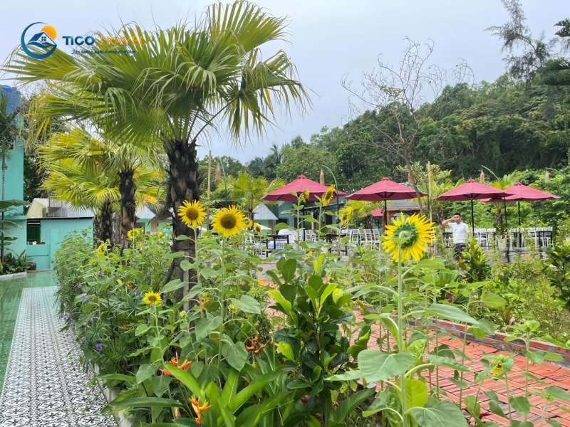 Minh Chau Beach Resort