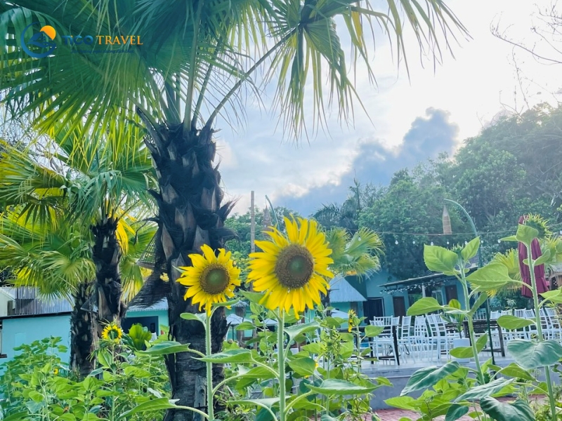 Minh Chau Beach Resort