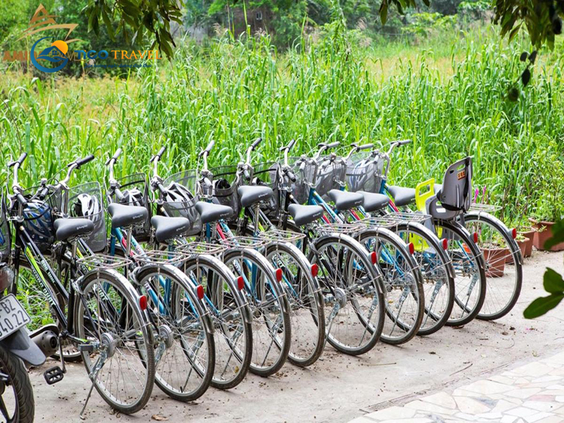 Đồng Nê Tam Cốc Hotel & Resort Ninh Bình