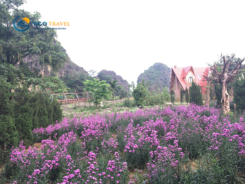 Tràng An Secret Garden Ninh Bình Resort