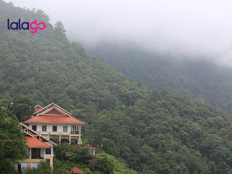 Tam Đảo Belvedere Resort