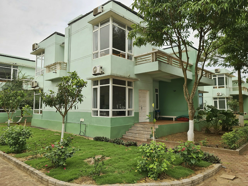 Eureka Linh Trường