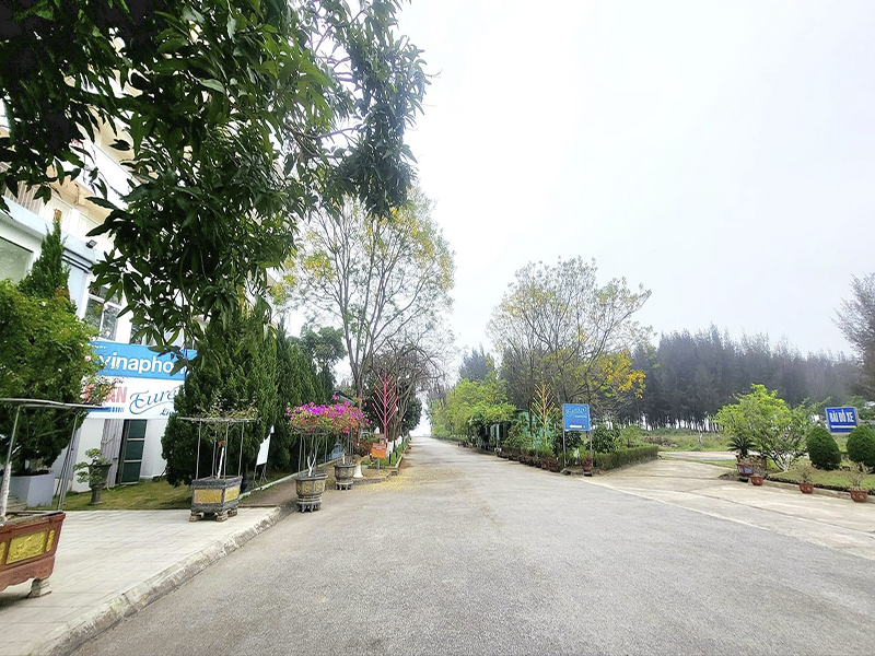Eureka Linh Trường