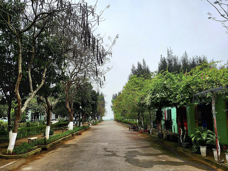 Eureka Linh Trường