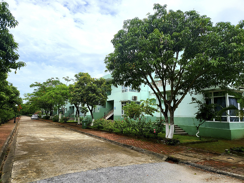 Eureka Linh Trường