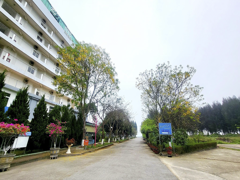 Eureka Linh Trường
