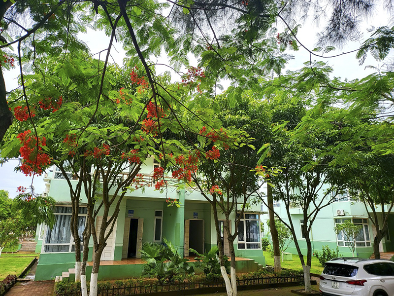 Eureka Linh Trường