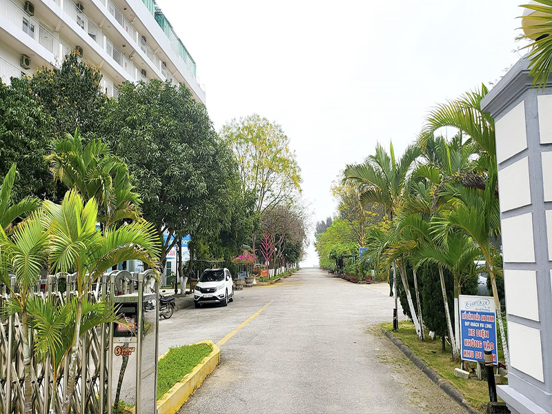 Eureka Linh Trường