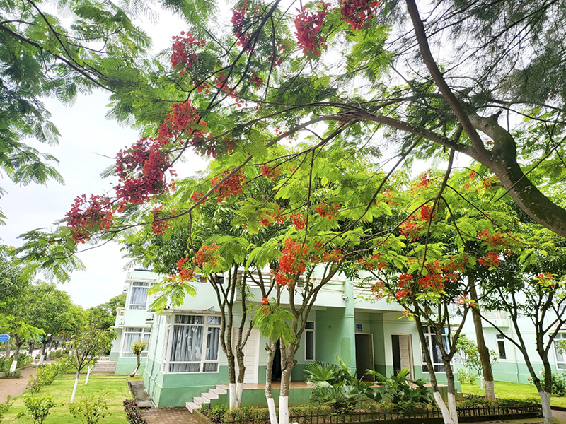 Eureka Linh Trường