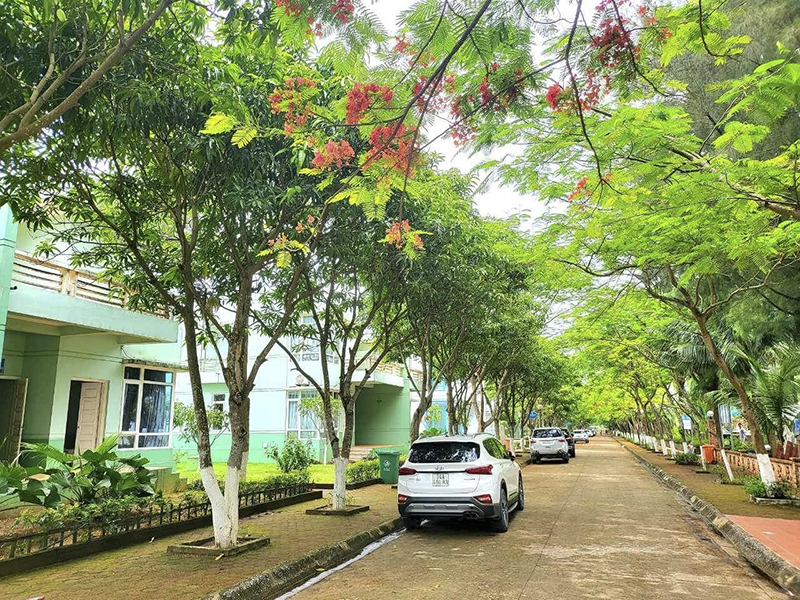 Eureka Linh Trường