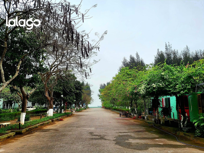 Eureka Linh Trường