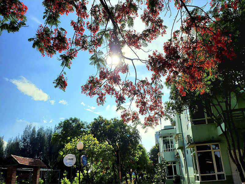 Eureka Linh Trường