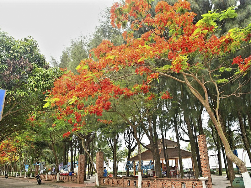 Eureka Linh Trường