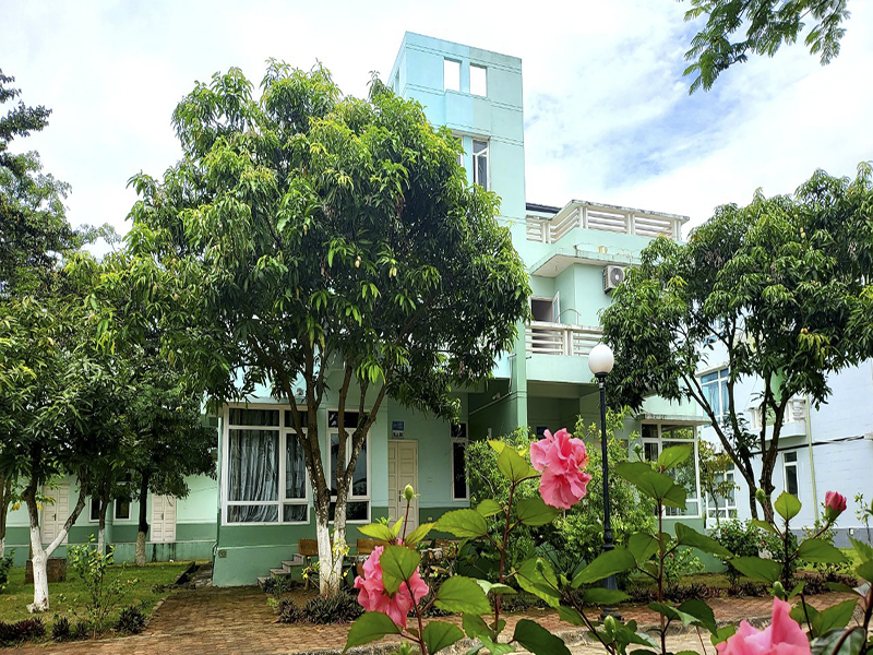 Eureka Linh Trường