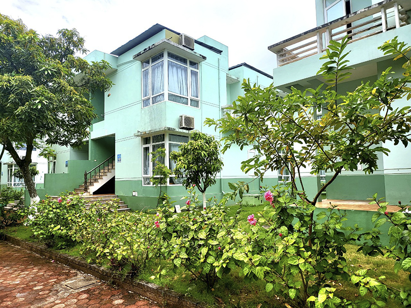 Eureka Linh Trường