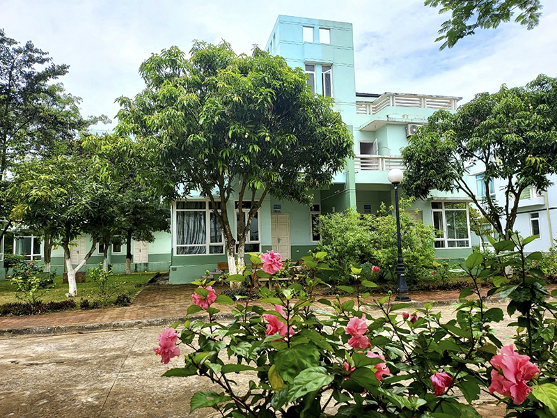 Eureka Linh Trường