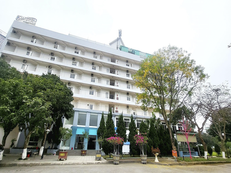 Eureka Linh Trường