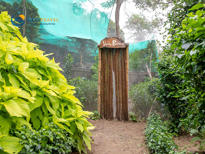 Nhất Tự Sơn Resort Phú Yên