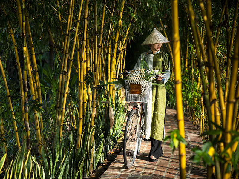 Tam Coc Garden Resort