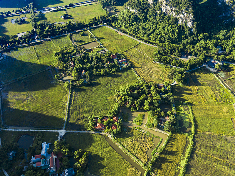 Tam Coc Garden Resort