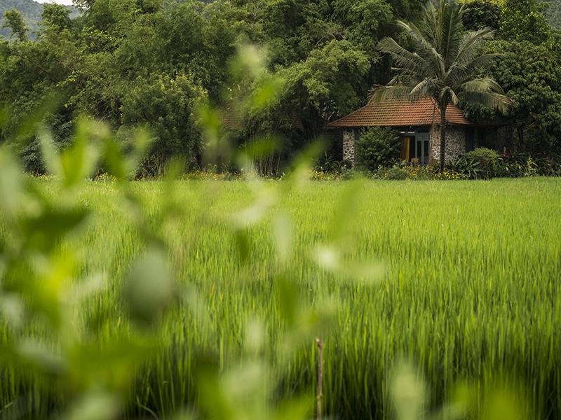 Tam Coc Garden Resort