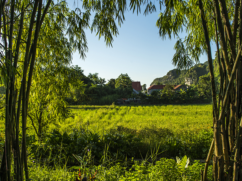 Tam Coc Garden Resort