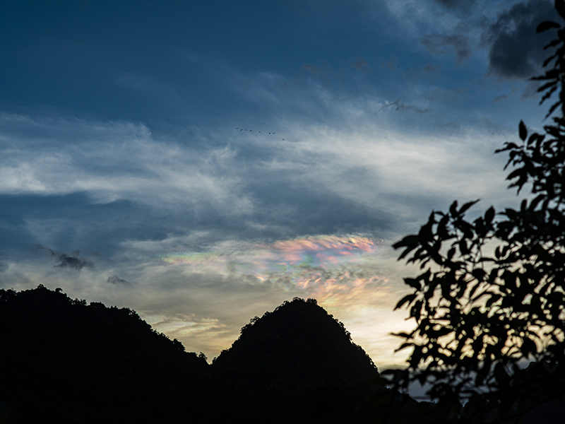 Tam Coc Garden Resort