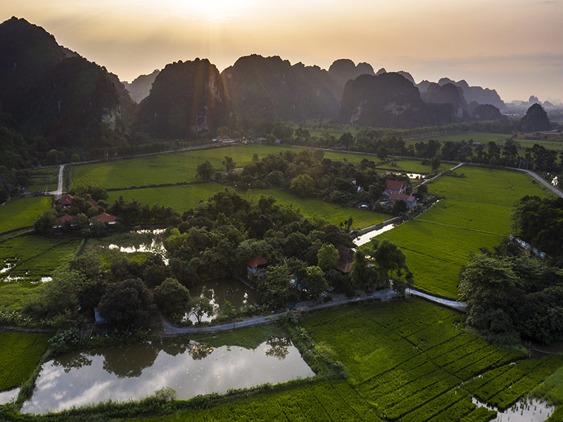 Tam Coc Garden Resort